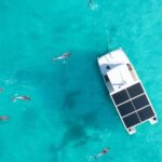 Biologist Owned & Operated: Dolphin Watching & Guided Snorkeling - Meeting Point and Logistical Details