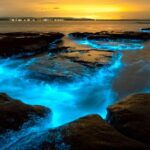 Bioluminescence Clear Kayak or Paddleboard Tour Near Orlando - Sunset and Nighttime Paddle on the Indian River Lagoon