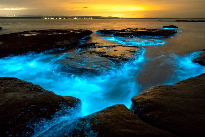Bioluminescence Clear Kayak or Paddleboard Tour Near Orlando - Sunset and Nighttime Paddle on the Indian River Lagoon