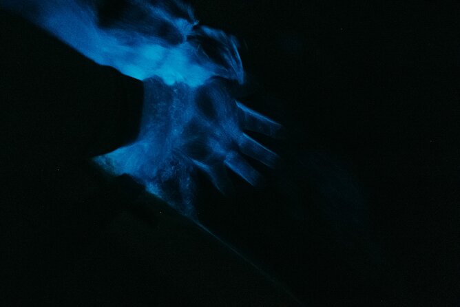 Bioluminescent Clear Bottom Kayak or Paddleboard Sit-On-Top Kayak Hybrid Tour! - What to Expect During the Tour