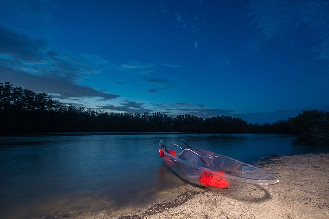 Bioluminescent Clear Kayak Tours in Titusville - The Guides: Knowledgeable, Friendly, and Informative