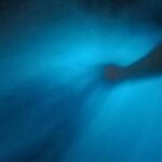 Bioluminiscense Lagoon Tour - Exploring the Mini Palenque Factory for Mezcal