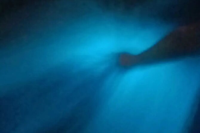 Bioluminiscense Lagoon Tour - Exploring the Mini Palenque Factory for Mezcal