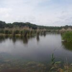 Bird Watching in Albufeira Lagoon - Who Will Enjoy This Tour?