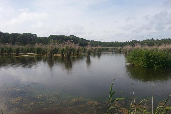 Bird Watching in Albufeira Lagoon - Who Will Enjoy This Tour?