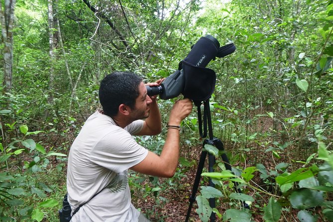 Bird Watching in Sian Ka´an Muyil - The Guided Walk Through Muyil Archaeological Ruins