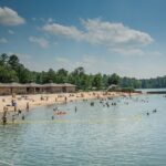 Birmingham Area Family Fun Multi-Attraction Pass - The Birmingham Zoo: Encounter 700 Animals in a Spacious Setting