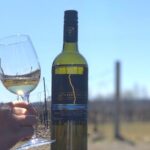 Black Glass Wine Tasting - The Experience’s Highlights: Fun, Education, and Senses