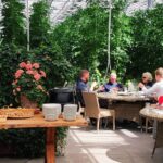 Blue lagoon Premium and Private Golden circle tour - Private Transportation for a Relaxed Day in Iceland