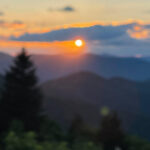 Blue Ridge hiking tour with areas #1 Guide (1/2 day) - From the Meeting Point to the Blue Ridge Parkway