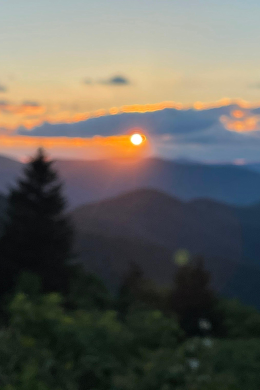 Blue Ridge hiking tour with areas #1 Guide (1/2 day) - From the Meeting Point to the Blue Ridge Parkway