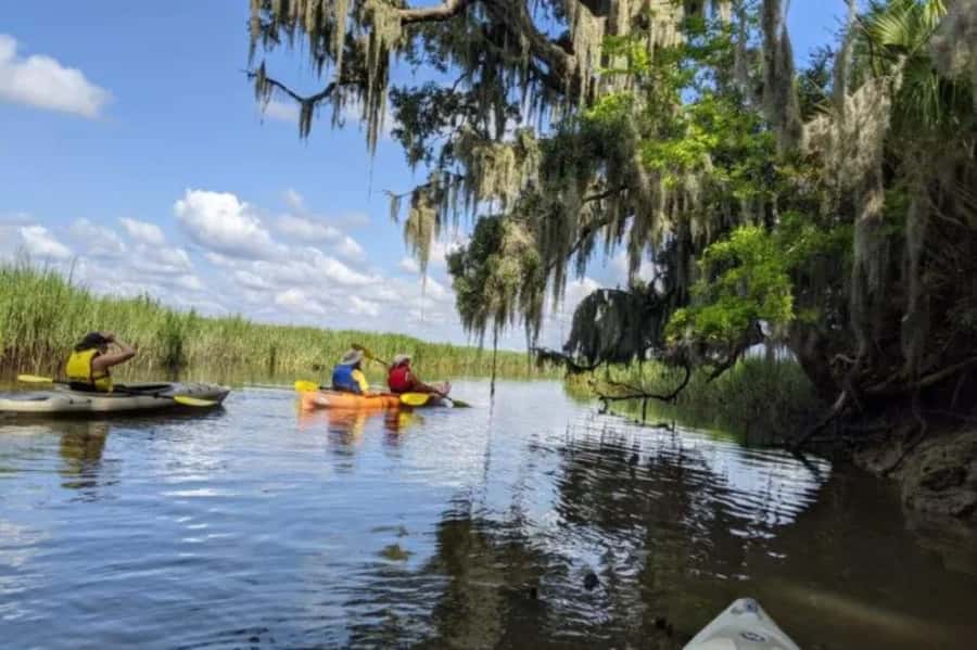 Bluffton: May River Kayak Nature and History Paddle - Discover Palmetto Bluff’s Waterways and Creeks