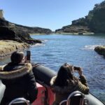 Boat Tour around Vila Franca do Campo Islet in Azores - What to Expect on the Boat Tour of Vila Franca do Campo Islet