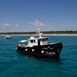 Boat tour Golfo Aranci: Tavolara and Molara Marine Protected Area - Meeting Point at Golfo Aranci