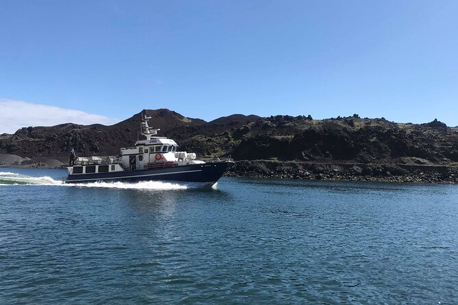 Boat Tour in Vestmannaeyjar - Visiting the Sea Cave and Elephant Rock