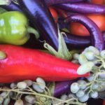 Bodrum: Market Visit and Cooking Class - Bodrum’s Vibrant Farmers Market in the Morning