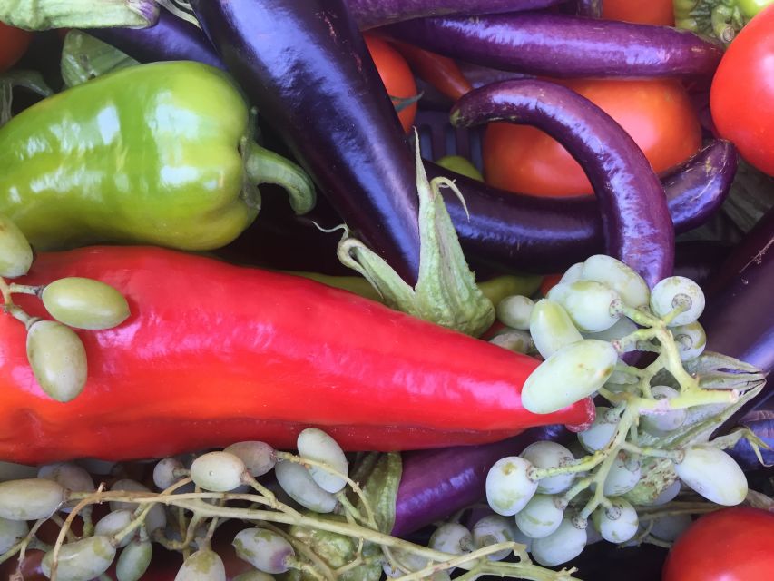 Bodrum: Market Visit and Cooking Class - Bodrum’s Vibrant Farmers Market in the Morning