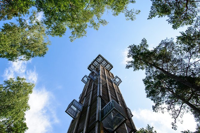 Bogs and Resorts in Jrmala - Visiting the Jurmala Open-Air Museum: From Fishing Village to Resort