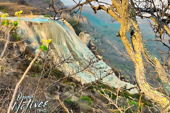 Boil the Water and Mitla Mezcal Tour - Visiting Santa Maria del Tule and Its Ancient Tree