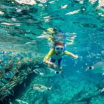 Bonifacio: croisière guidée et Snorkeling aux îles lavezzi - Starting Point at SantAmanza’s Pontons