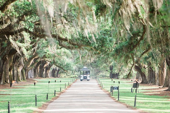 Boone Hall Plantation All-Access Admission Ticket - Visiting the Avenue of Oaks and Gardens