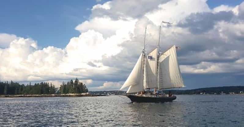 Boothbay Harbor: Schooner Apple Jack Daytime Sailing Cruise - Departing from Fishermans Wharf Inn in Boothbay Harbor