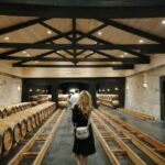 Bordeaux: Medoc tour in a small group (Luxury Mercedes EQV) - Traveling in Style: Luxury Mercedes EQV