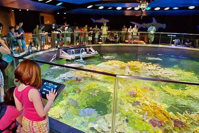 Boston CityPASS® - The Top Stops: Aquarium, Museum of Science, and More