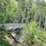 Boston Fall Day Trip to White Mountains, Lost River Gorge - Starting in Boston: Comfort and Convenience