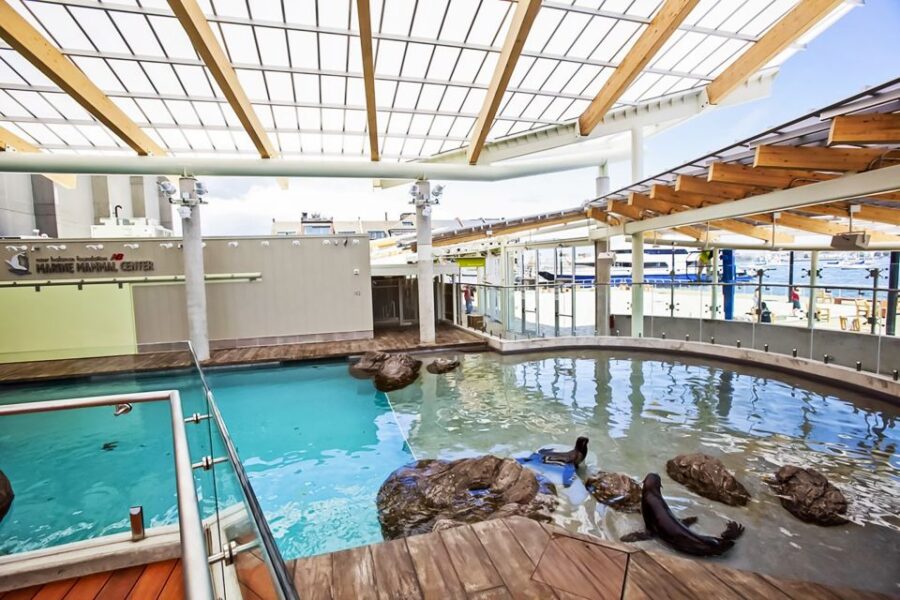 Boston: New England Aquarium Entry + Optional Simons Theatre - Boston’s Marine Marvel: The Aquarium’s Prime Location and Highlights