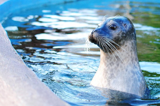 Boston Pass: 40+ Things To Do - Includes Franklin Park Zoo - How the Boston Pass Offers Value for Money