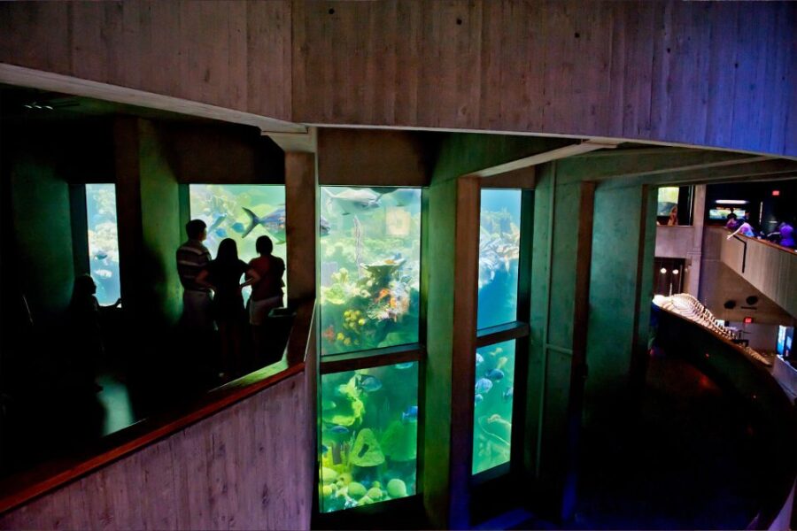 Boston Pass: Save up to 50% - Includes Franklin Park Zoo - How the Boston Pass Delivers Convenience and Value