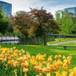 Boston: Votes for Women History Tour of Back Bay - Starting Point and Meeting Details in Boston Public Garden