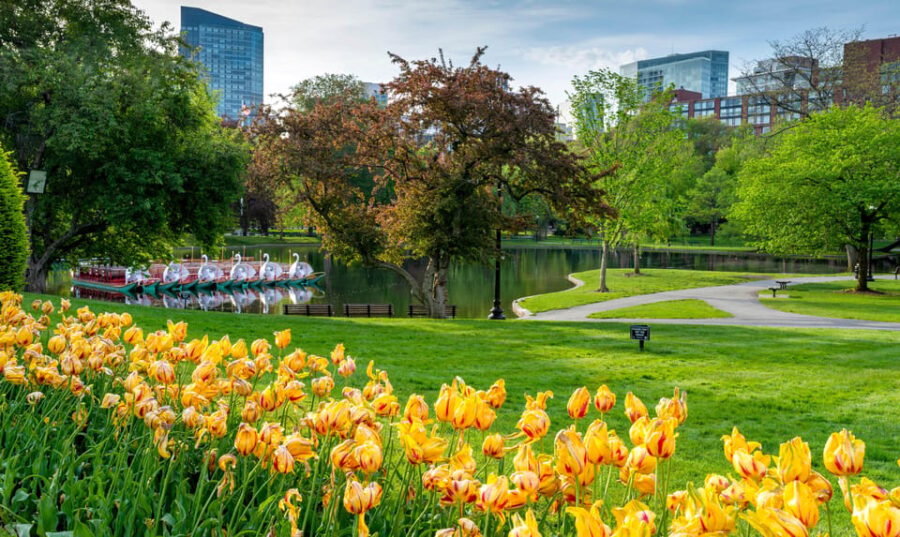 Boston: Votes for Women History Tour of Back Bay - Starting Point and Meeting Details in Boston Public Garden