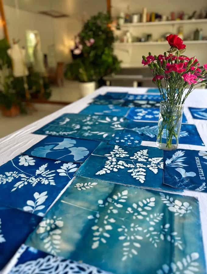 Botanical Printing and Water Marbling in Mexico City - The Artistic Charm of Botanical Cyanotype Printing in Mexico City