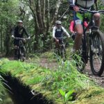 Botanical Trails of Madeira. Mountain biking Trail Experience - First Stop: Poiso at 1,400 Meters Altitude