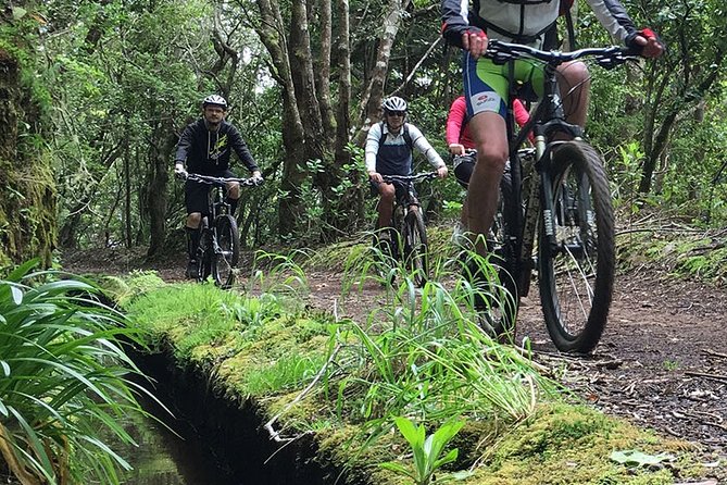 Botanical Trails of Madeira. Mountain biking Trail Experience - First Stop: Poiso at 1,400 Meters Altitude