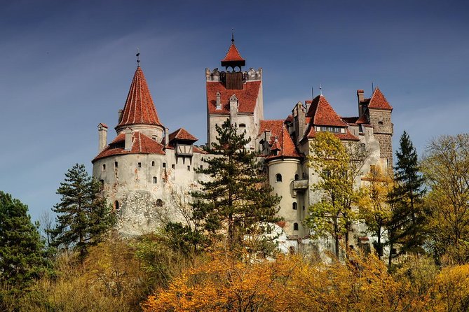 Bran (Dracula) Castle, Bear Sanctuary, Rasnov Fortress & Palinca Distillery - Rasnov Fortress: Panoramic Views and Local Souvenirs