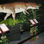 Branson Dinosaur Museum Admission Ticket - The Educational Value and Self-Guided Format