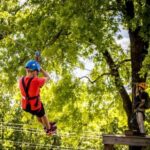 Branson: Zipline Canopy Tour - The 8-Zipline Course Through Ozark Forests