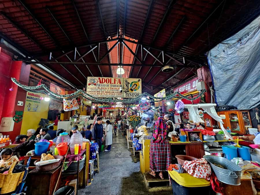 Breakfast in Tlacolula; Ancestral and industrial mezcal distillery - Visiting the Ancestral Mezcal Distillery in Xaagá