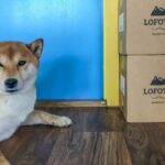 Brewery Tour - Behind-the-Scenes Access at the Brewery