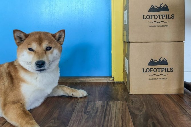 Brewery Tour - Behind-the-Scenes Access at the Brewery