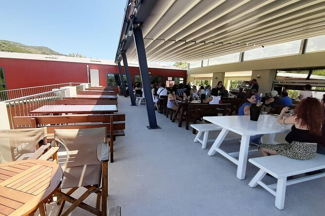 Brewery Visit - Exploring the Cretan Brewery Environment