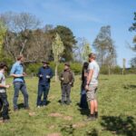 Bristol: Wine and Cider Tour with Tastings - Starting Point at the Bristol Farm and First Impressions