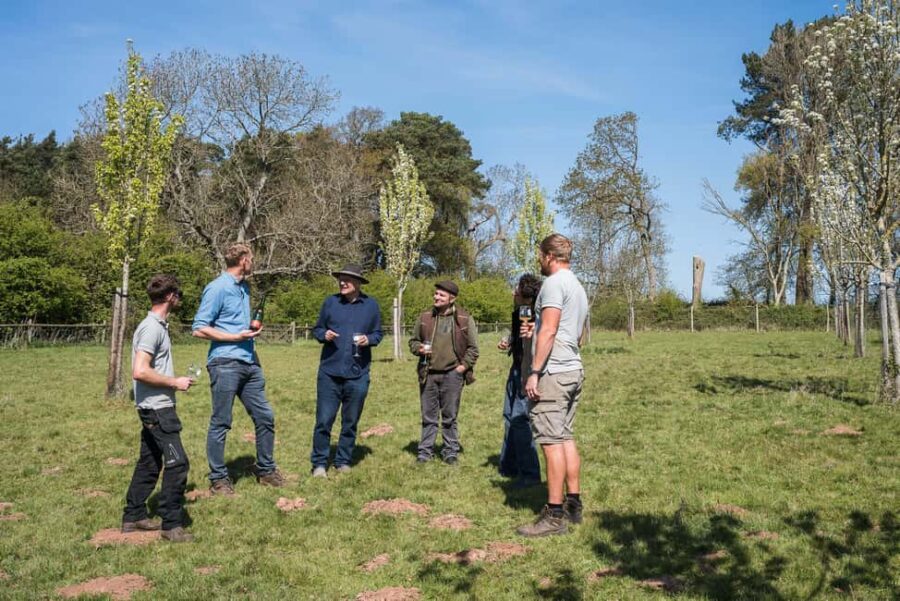 Bristol: Wine and Cider Tour with Tastings - Starting Point at the Bristol Farm and First Impressions
