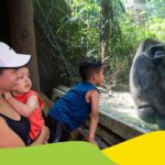 Bronx Zoo Admission Ticket - The Petting Zoo and Hands-On Experiences