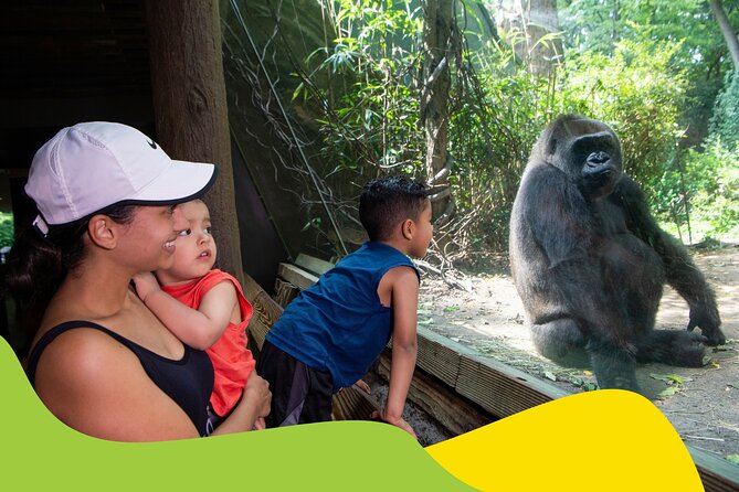 Bronx Zoo Admission Ticket - The Petting Zoo and Hands-On Experiences