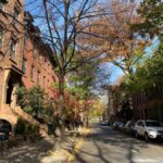 Brooklyn : Brooklyn Heights, DUMBO, The Bridge - Starting Point at Hotel St. George in Brooklyn