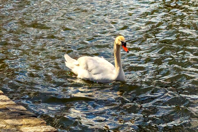 Brooklyns Oasis: Audio Guide to Prospect Park - Starting at Prospect Parks Gateway: The John Fitzgerald Kennedy Memorial